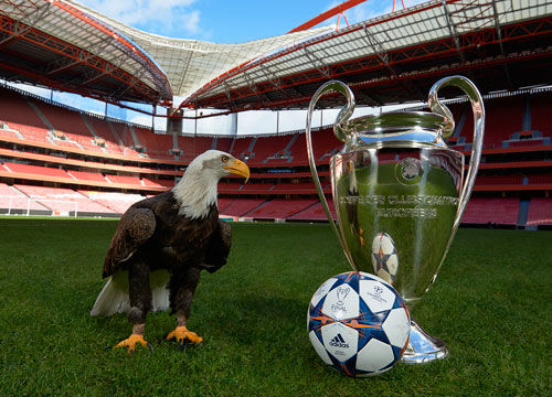 足球俱乐部战术调整最新动态（足球俱乐部战术更新速报）